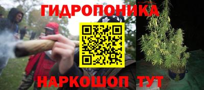 эйфоретик Будённовск