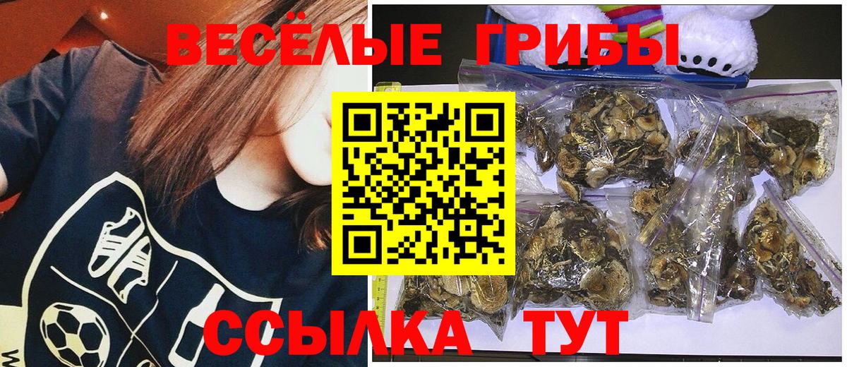 Псилоцибиновые грибы мухоморы Озёры